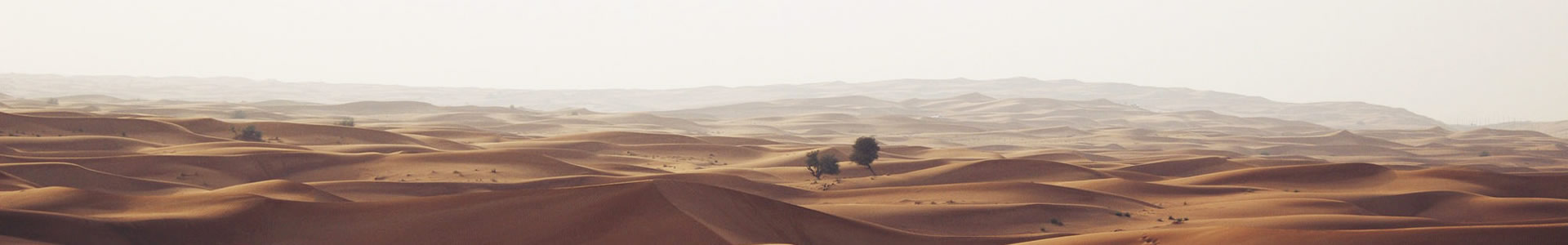 ŷڷſƼ޹˾
